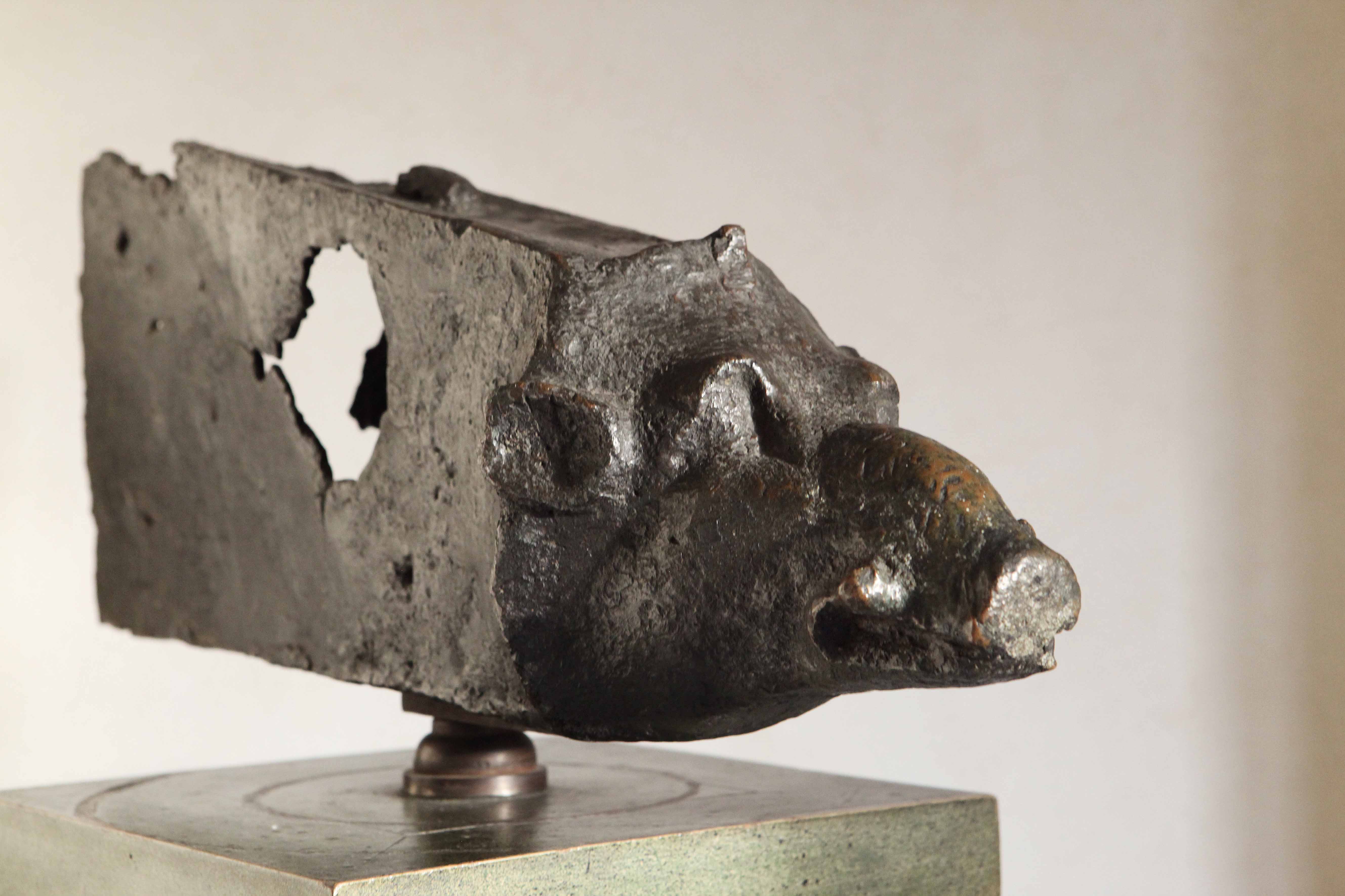 Musei Reali - Animali dalla A alla Z. Una mostra dedicata ai bambini